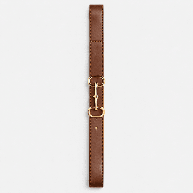 H&M Coated Belt — Dark Brown