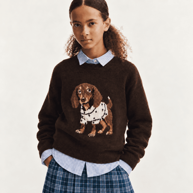 Loose-Fit Motif-Detail Sweater — Dark brown/dog